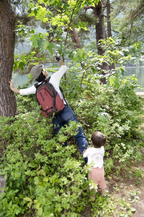 298_7444820632_35728a4dc8_k-678x1024