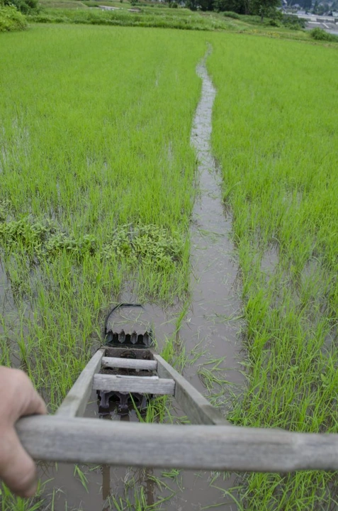 181_9046675672_b043b64c65_k-678x1024