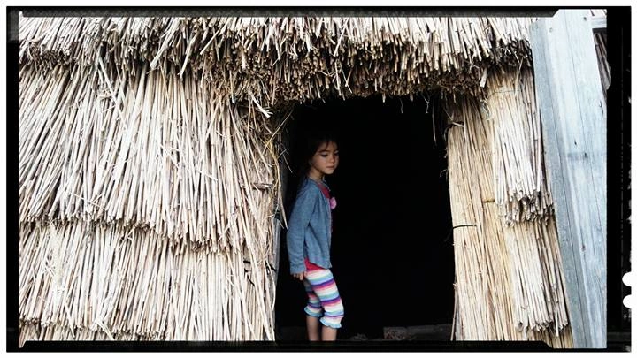 141_12002829_10153723883383203_4266474143690629853_n