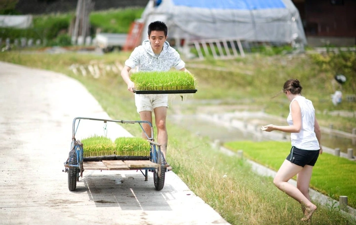 287_1053362_10151772273473203_1602296152_o-1024x648