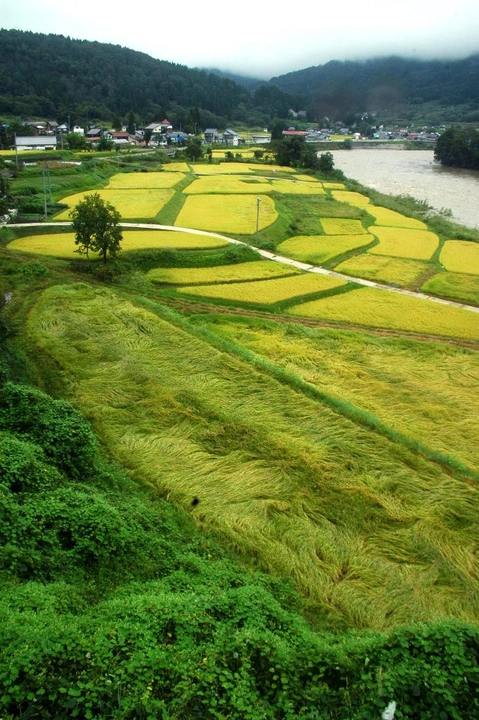 96_6178789443_b28b10124d_k-681x1024