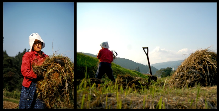 Farming? Gardening? Playing?