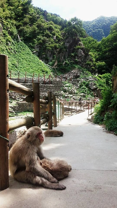 271_18900_10153445142773203_8887993621242223444_n-1