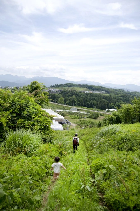 293_7439744254_e16470b4e1_k-678x1024