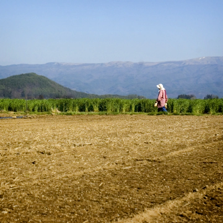 nagano-farming_144359007_o.jpg