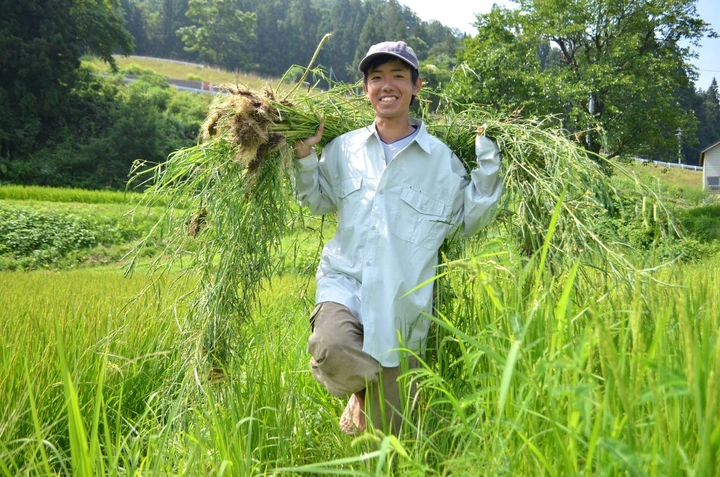 A Lost Bike Packer Helps in My Rice Field