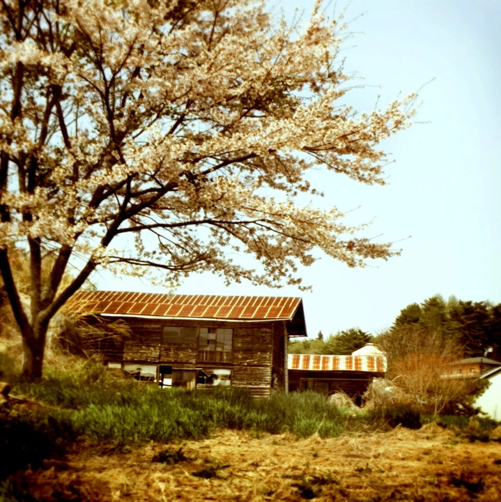 May Scenery in Rural Japan