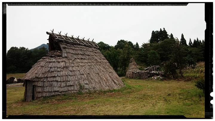 140_12003216_10153723883283203_7447346939868656067_n