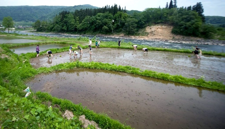 249_1052343_10151772272168203_69792191_o-1024x590