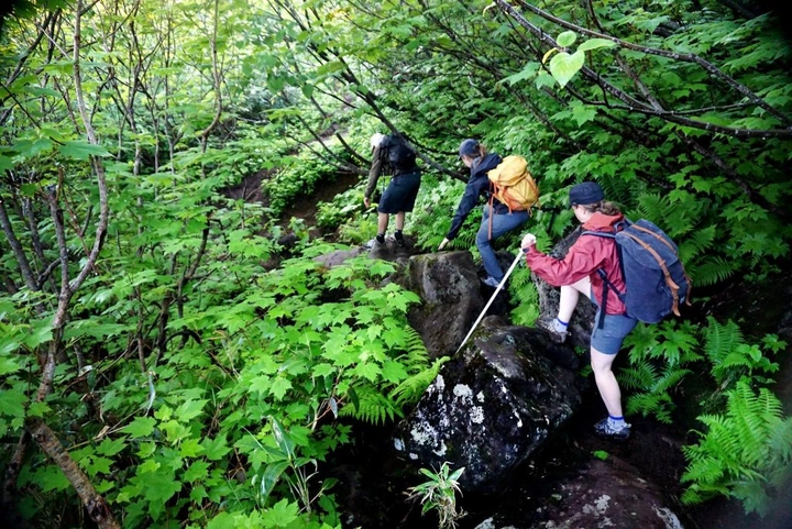 168_10469452_10152662587593203_6371758380190674054_o-1024x684