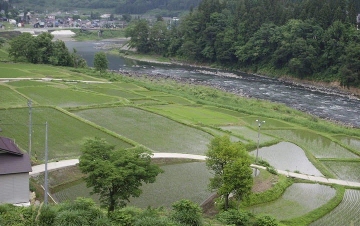 183_9047438304_277629dedf_k-1024x643