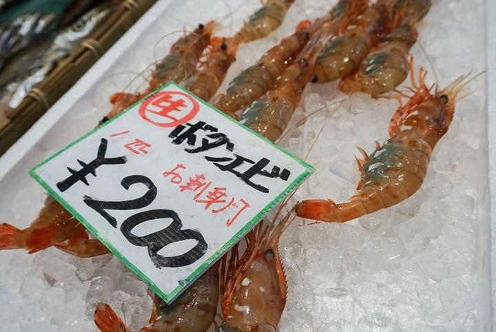 122_10686907_10152842581708203_4958863187920479430_n