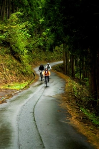 DSC_1172 copy.jpg17