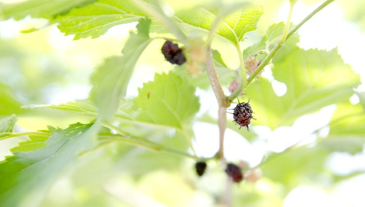 296_7444816902_3935496074_k-1024x581