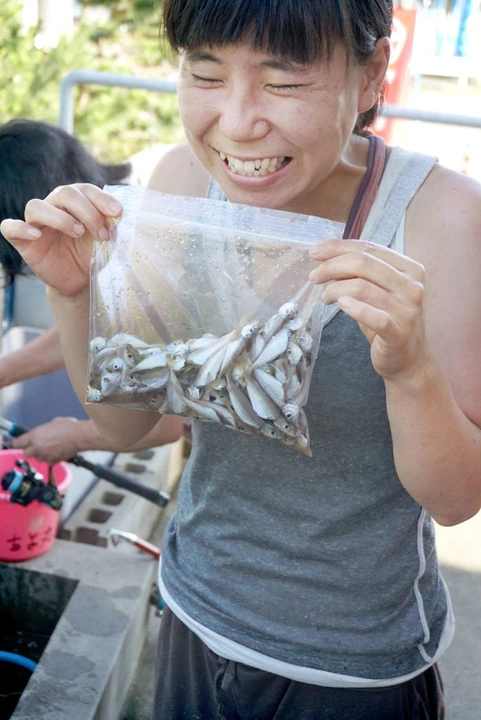 161_10431348_10152656210063203_4844126216778119565_o-684x1024