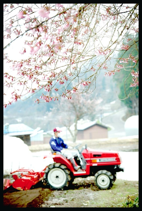 240_7128784125_9749166ee4_k-691x1024