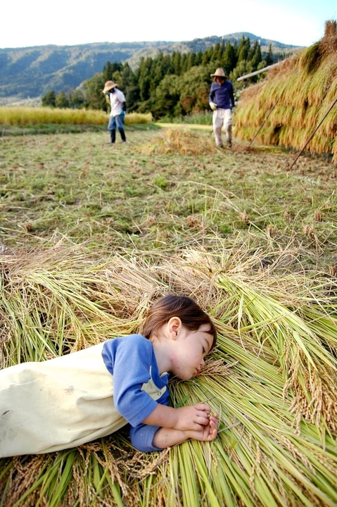 99_6179371382_47bef0c433_k-681x1024