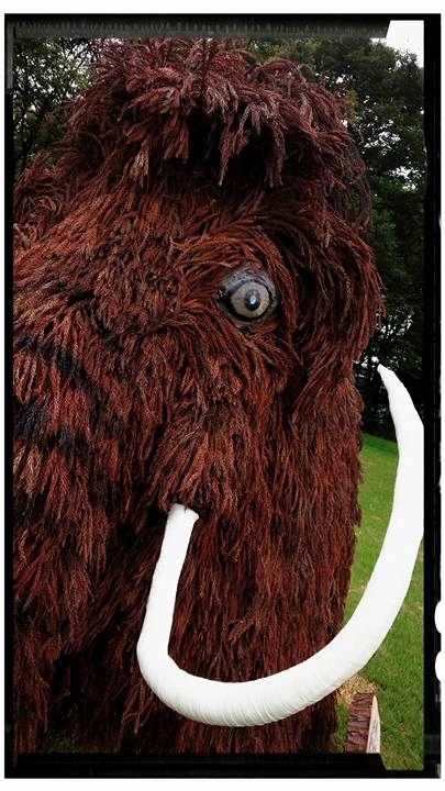 145_12049524_10153723883923203_5522844158214945534_n