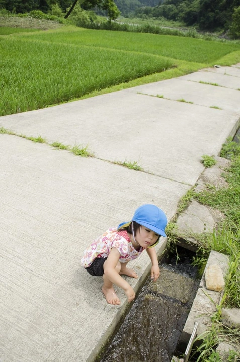 184_9207716194_c7c4ae2180_k-679x1024