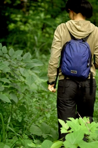 picking-kuwa_715357334_o.jpg13