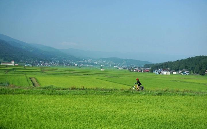 164_10498265_10152656210338203_6352659507025081451_o-1024x638