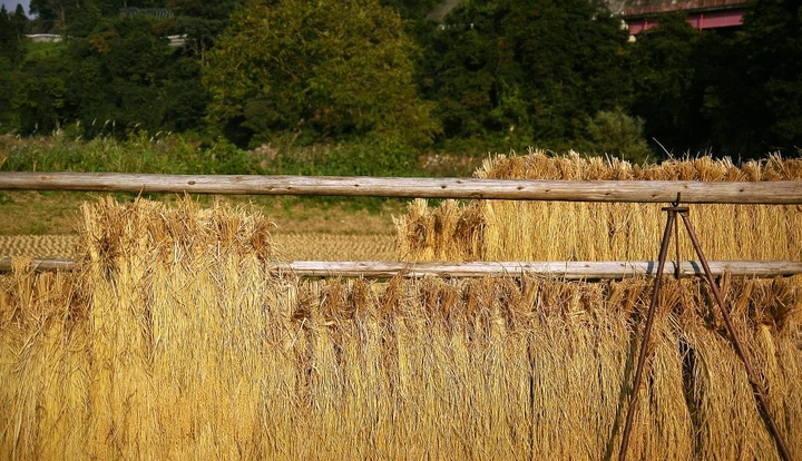 102_6228776100_3456d2d5a7_k-1024x589