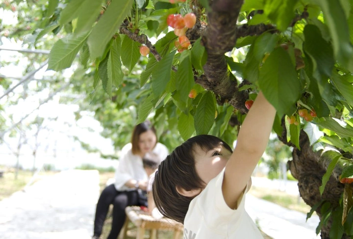 289_7439734844_7789c82927_k-1024x693