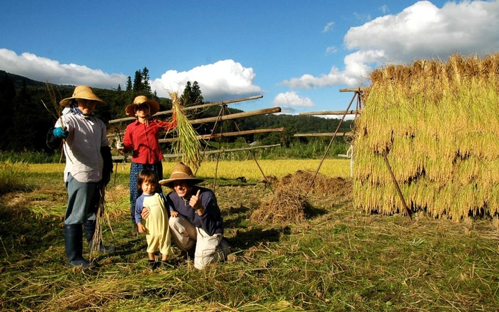 97_6179261030_298a81e851_k-1024x642