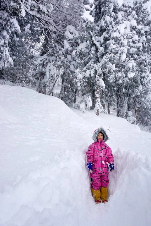 111_10842351_10152989490283203_4060495310544686902_o-684x1024