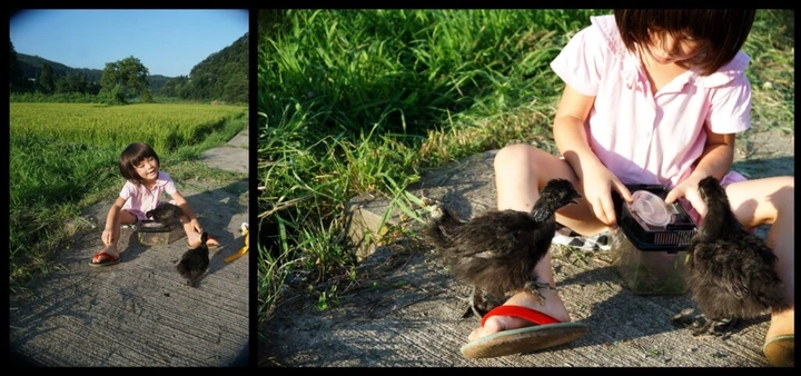 147_1015984_10152720702298203_5059871197987688384_o-1024x481