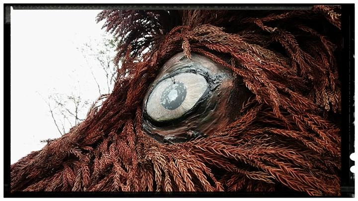 143_12011292_10153723883888203_5151152863468778700_n