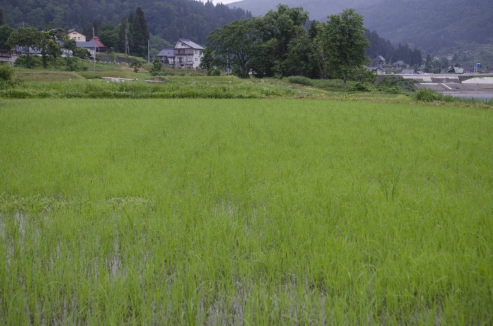 180_9044446057_e2dad8cd55_k-1024x678