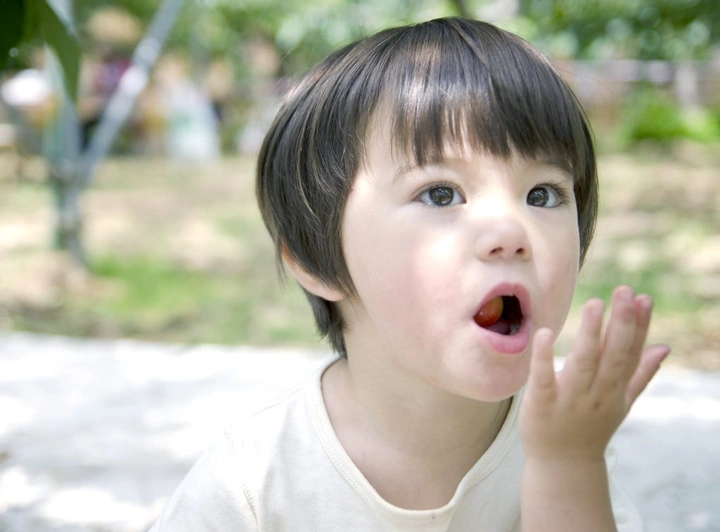 290_7439739112_c63fb9fa20_k-1024x756