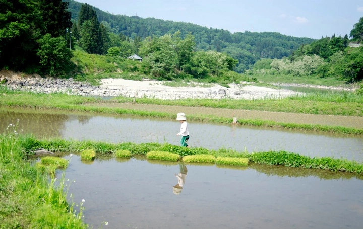 246_535804_10151043238768203_1150471693_n