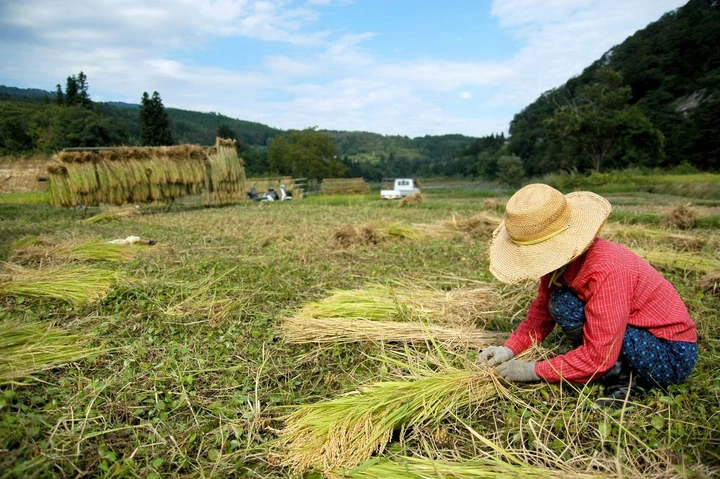 101_6188821512_ec4e464de7_k-1024x681