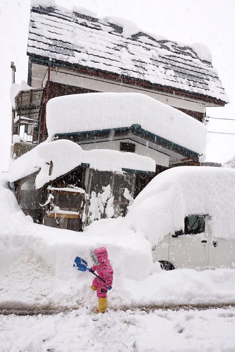 106_10633888_10152989491313203_8336156768621403116_o-684x1024