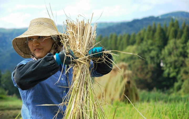 98_6188290205_3196732662_k-1024x643