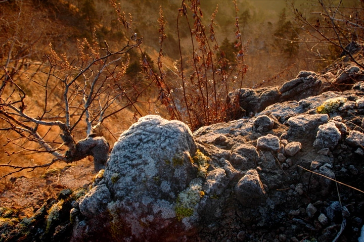 Winter Arrives in Yatsugatake